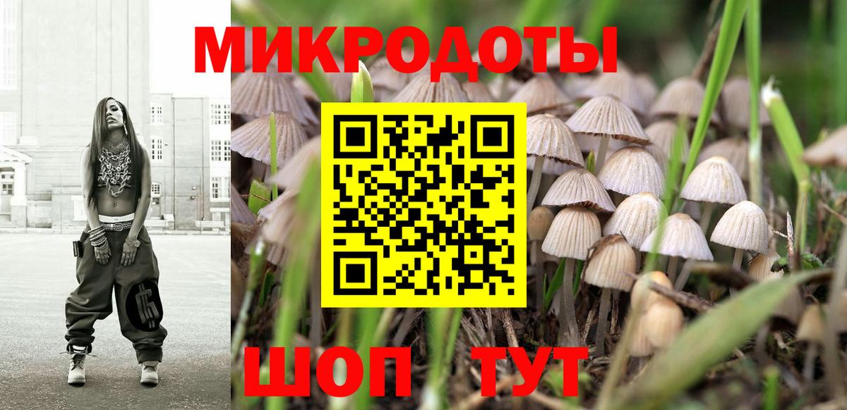 Арзамас  Псилоцибиновые грибы Psilocybine cubensis  Вход с VPN 